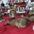Decorazione natalizia Statuina Baby renna