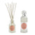 Discovery Box - Marquise Set profumazioni in confezione regalo
