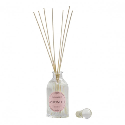 Diffusore di Profumo per Ambiente 90 ml Mathilde M. – Bottiglia in Vetro