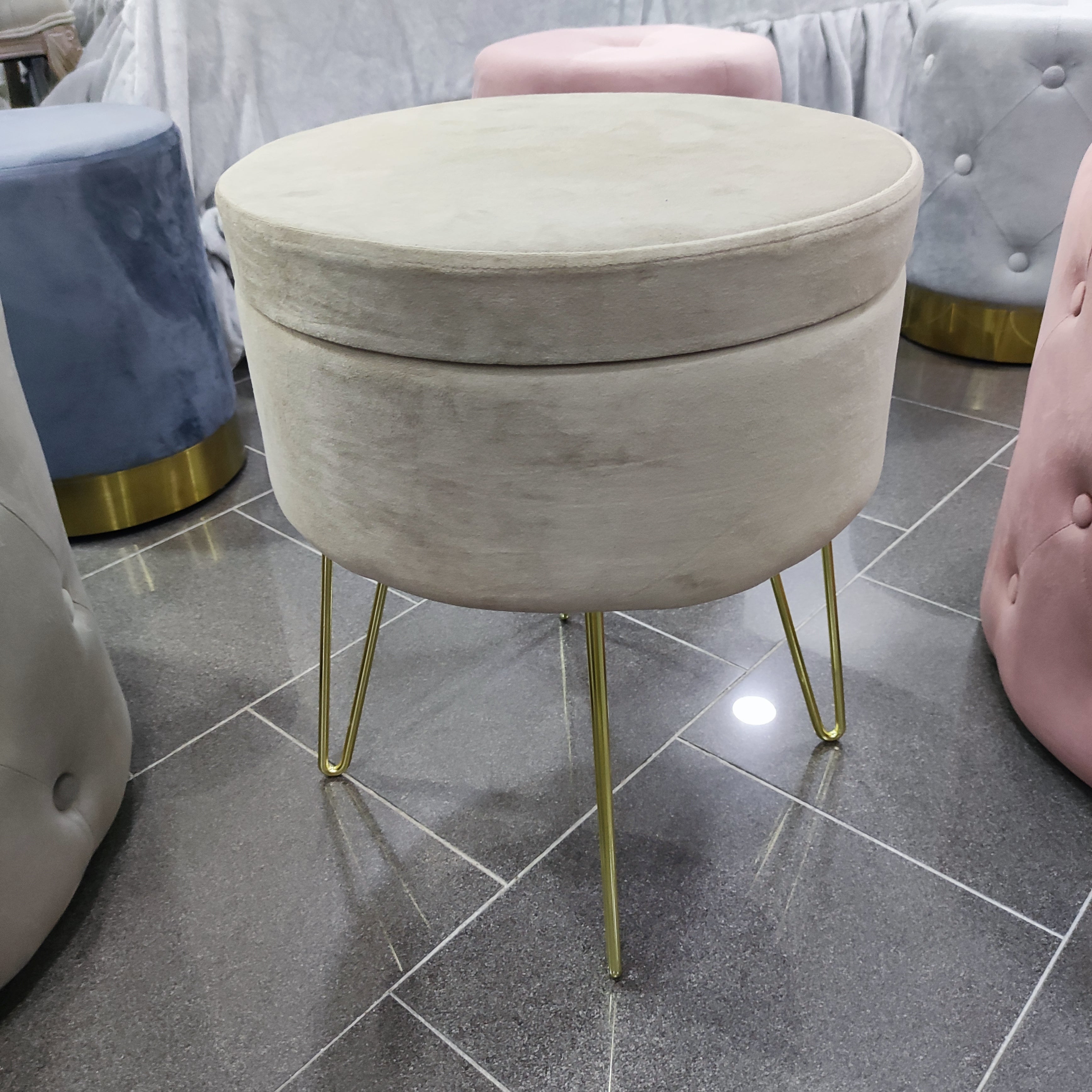 Pouf Contenitore in Velluto con Piedi Dorati